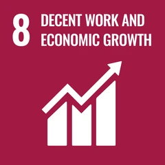 UN Sustainable Development Goal 8 icon