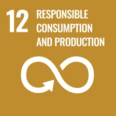UN Sustainable Development Goal 12 icon