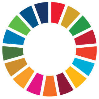 The UN Sustainable Development Goals colour wheel