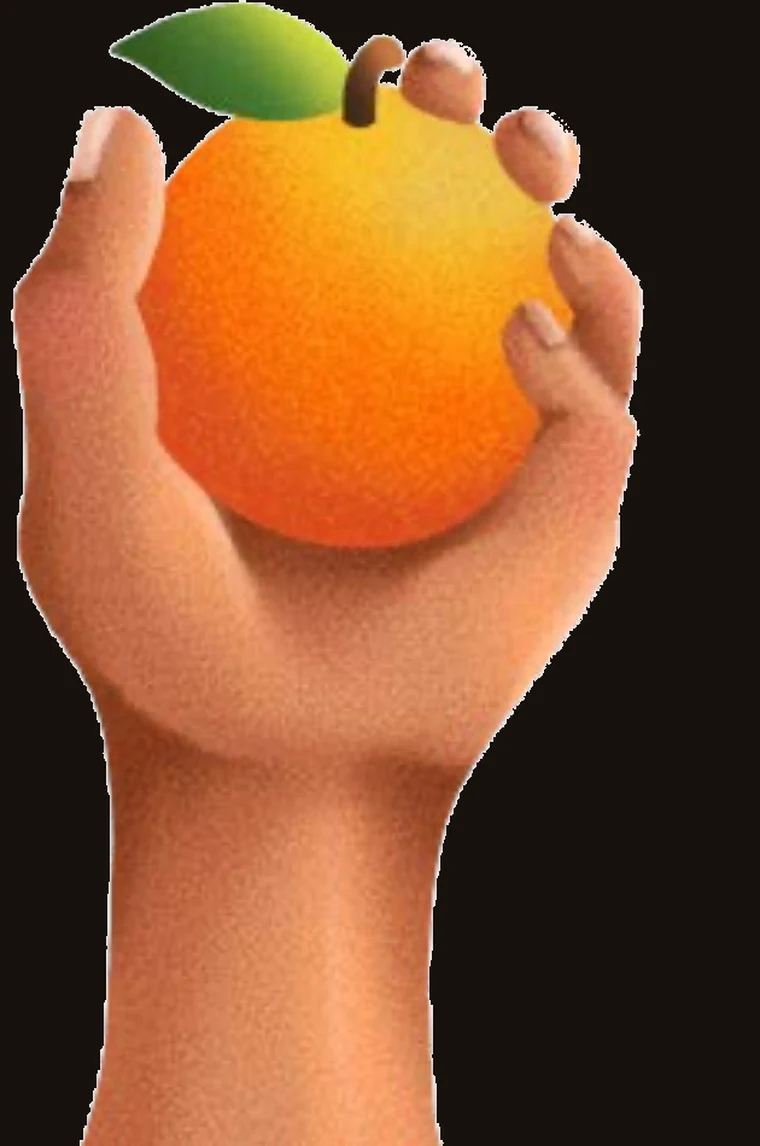 An illustration of a hand holding an orange, from the team’s vision video